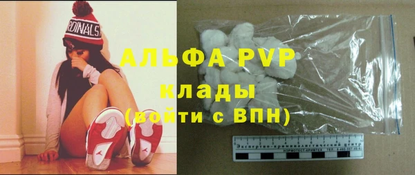стафф Алзамай