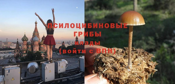 стафф Алзамай